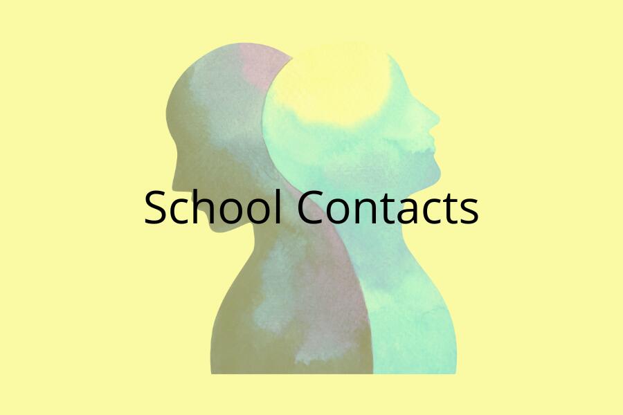 Contact the School